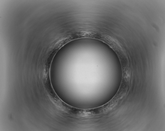 X0000112800607200908281530