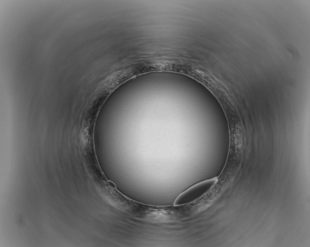 X0000112800611200908281530