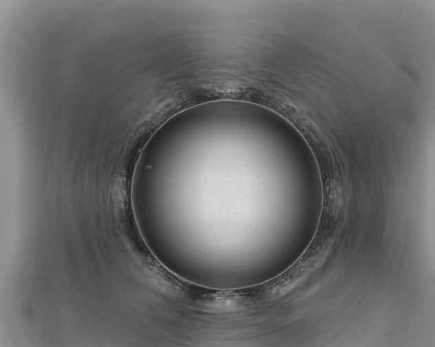 X0000112800612200908281530