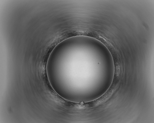 X0000112800613200908281530
