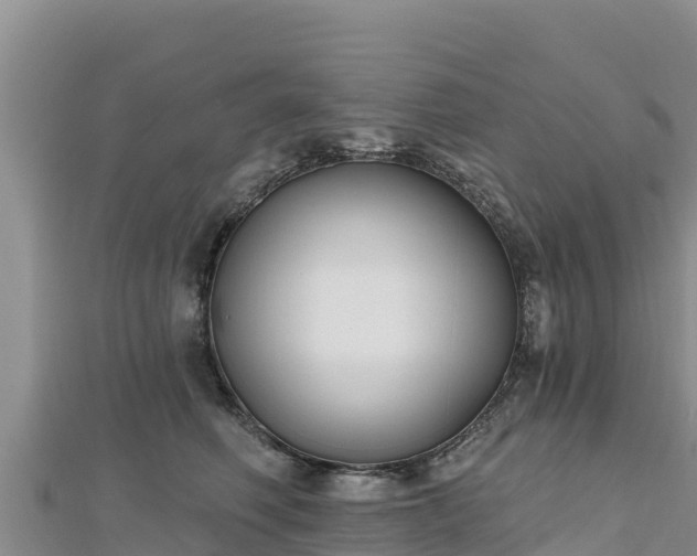 X0000112800614200908281529