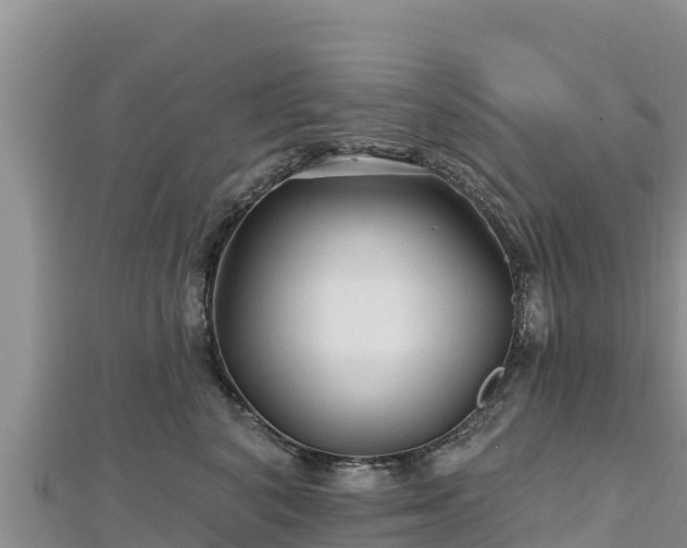 X0000112800616200908281529