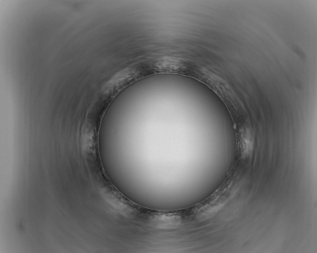 X0000112800619200908281529