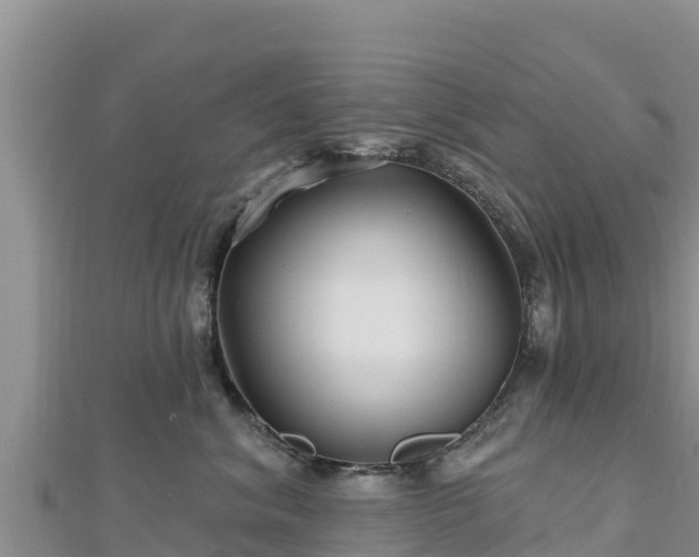 X0000112800620200908281529