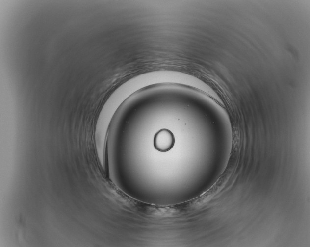X0000112800621200908281529