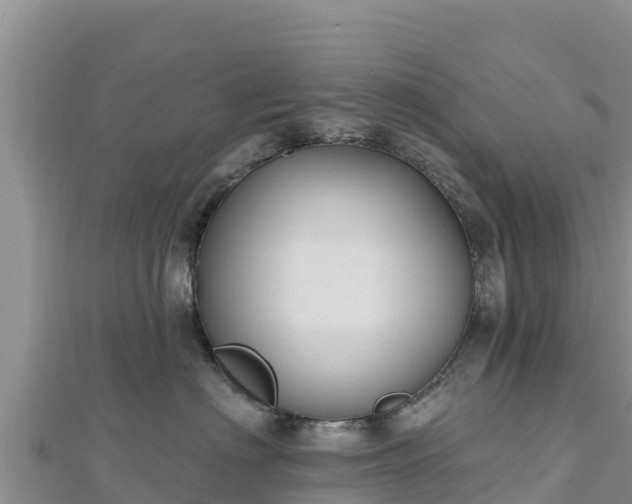 X0000112800622200908281529