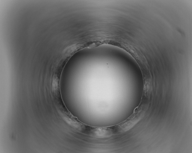 X0000112800623200908281529