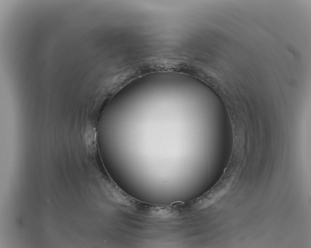 X0000112800624200908281529