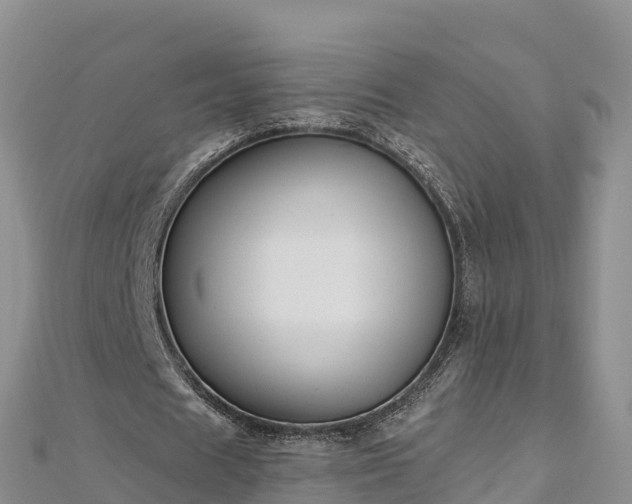 X0000112800625200908281529