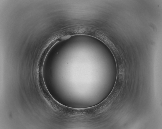 X0000112800626200908281529