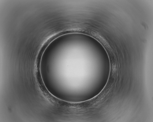 X0000112800628200908281529