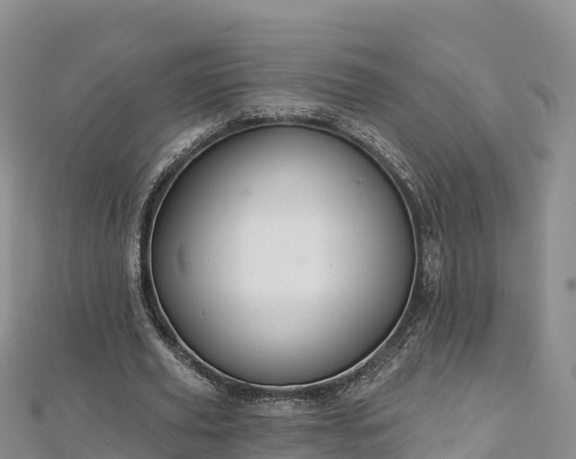 X0000112800629200908281529