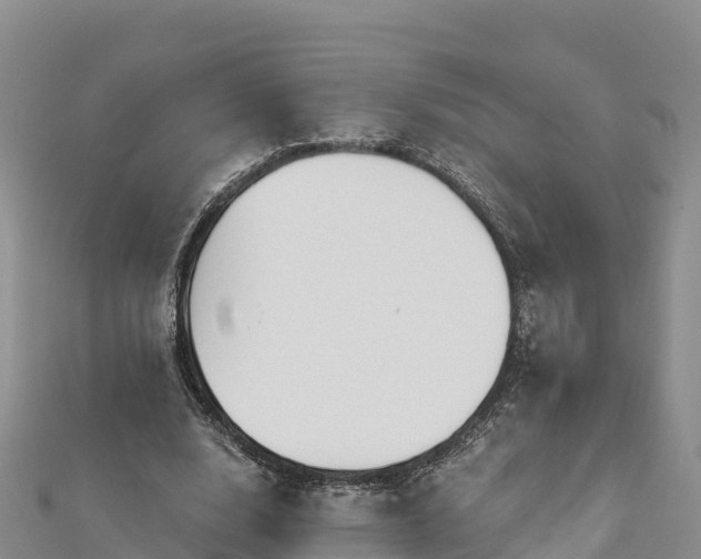 X0000112800632200908281529