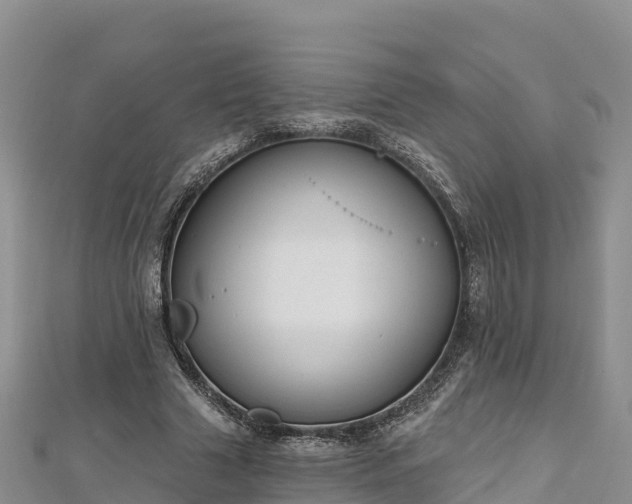 X0000112800633200908281529