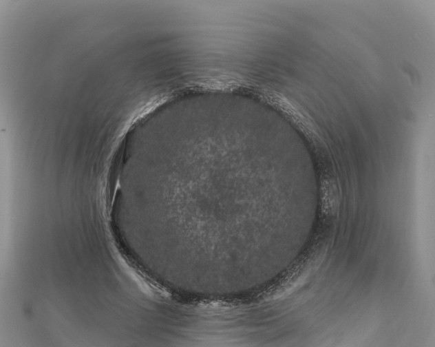 X0000112800634200908281529