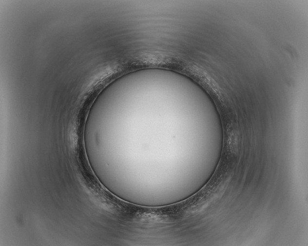X0000112800635200908281529