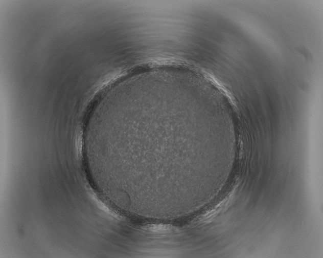 X0000112800637200908281529