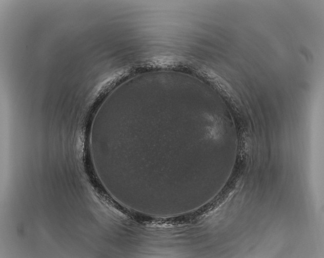 X0000112800640200908281529