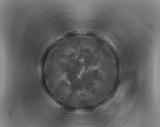 X0000112800641200908281529