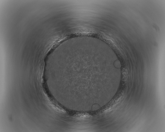 X0000112800642200908281529