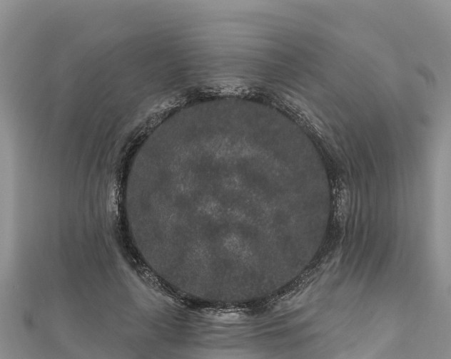 X0000112800643200908281529