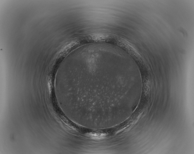 X0000112800644200908281529
