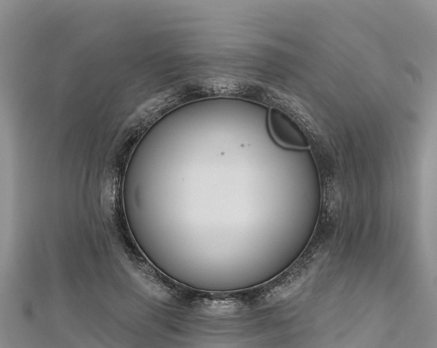 X0000112800645200908281529