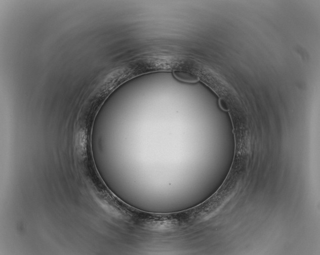 X0000112800646200908281529