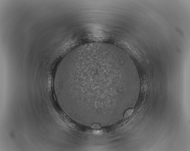 X0000112800647200908281529