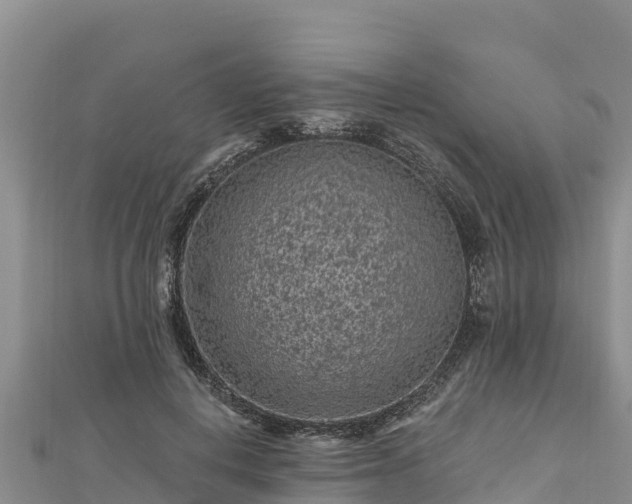 X0000112800648200908281529