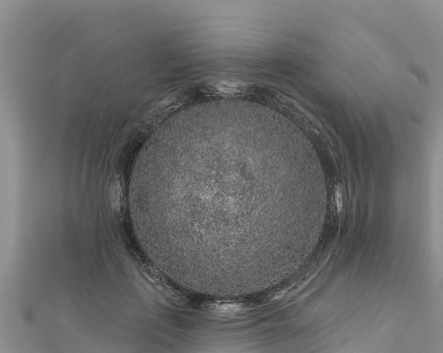 X0000112800651200908281529