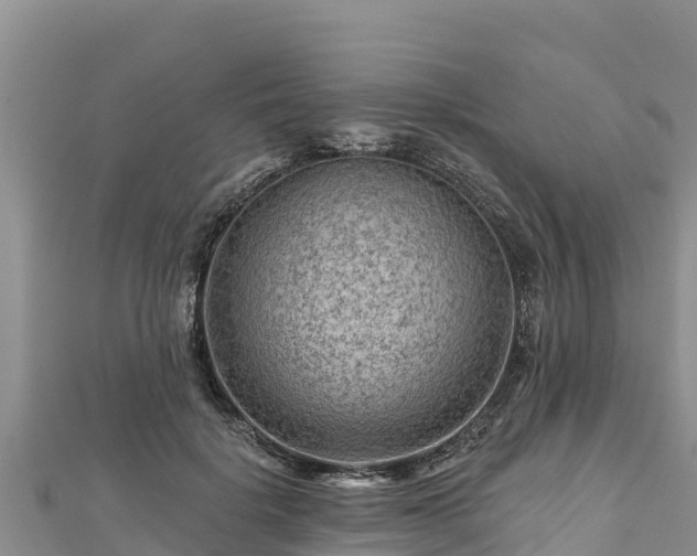 X0000112800652200908281529