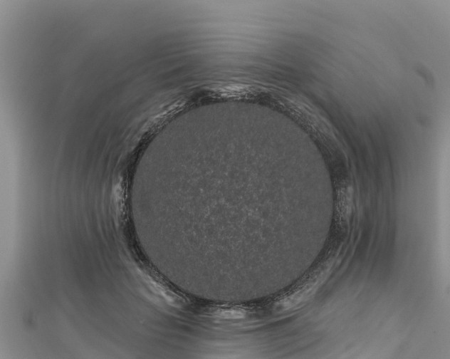 X0000112800653200908281529