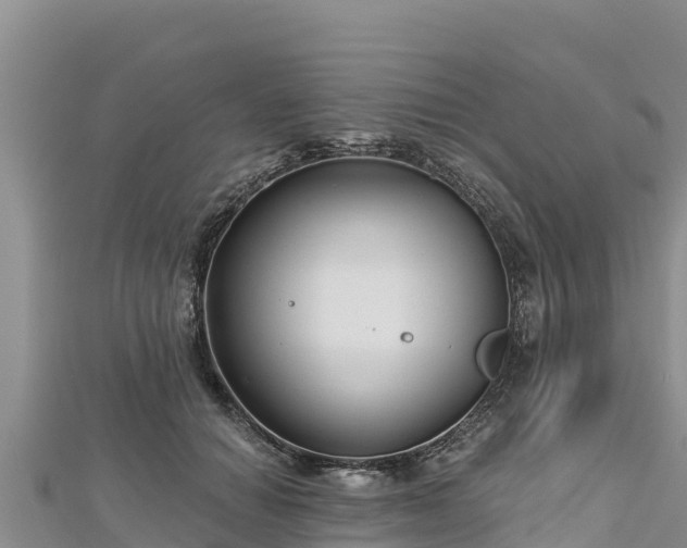 X0000112800654200908281529