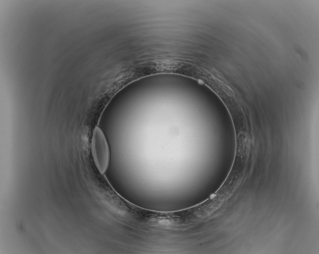 X0000112800655200908281529