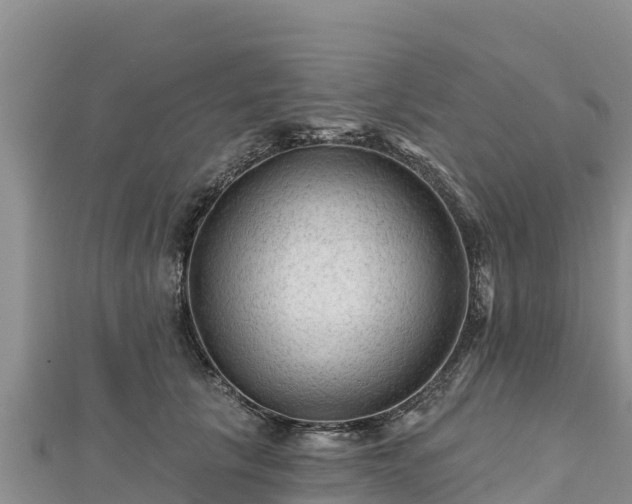 X0000112800657200908281529