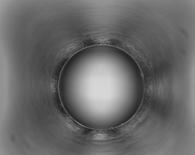 X0000112800658200908281529