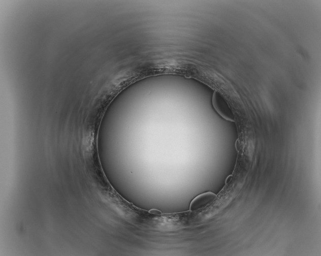 X0000112800660200908281529