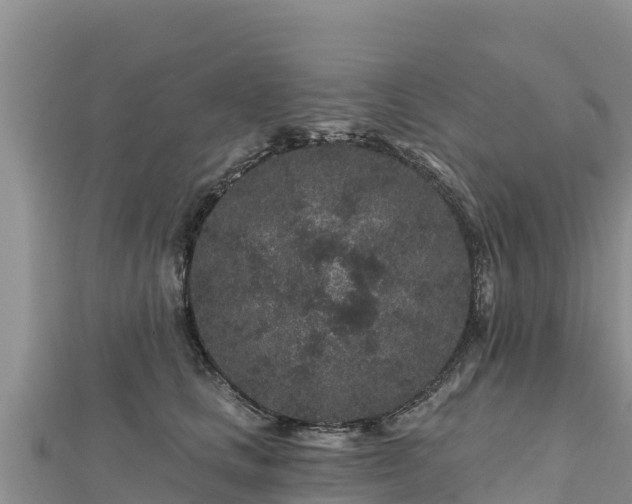 X0000112800661200908281529