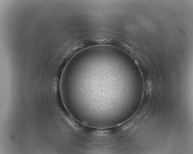 X0000112800664200908281529