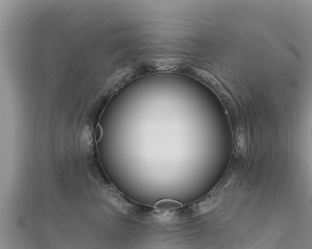 X0000112800667200908281529