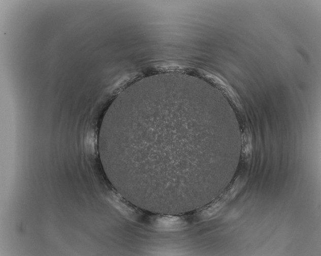 X0000112800669200908281529