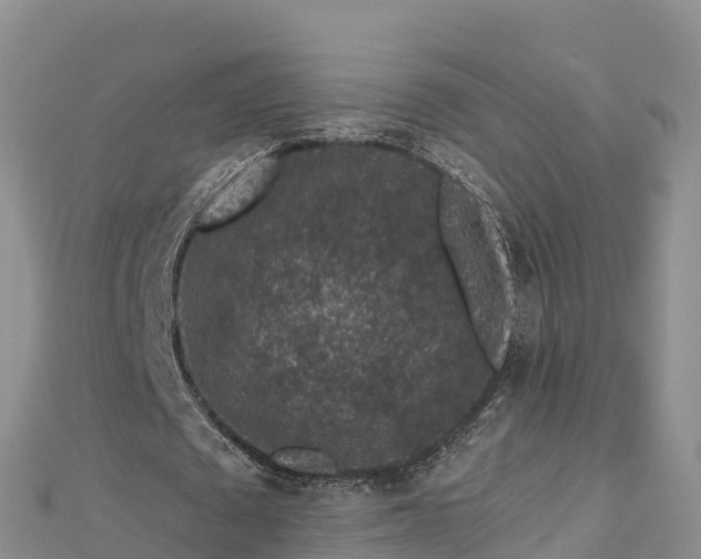 X0000112800673200908281529