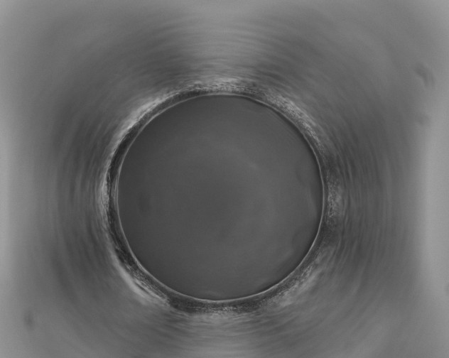 X0000112800674200908281529