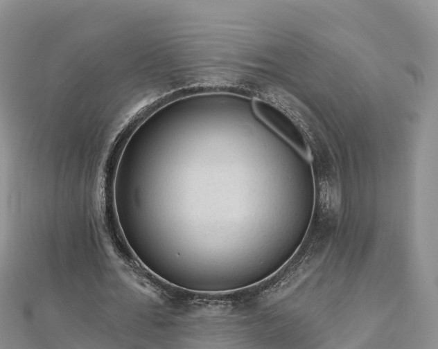 X0000112800676200908281529