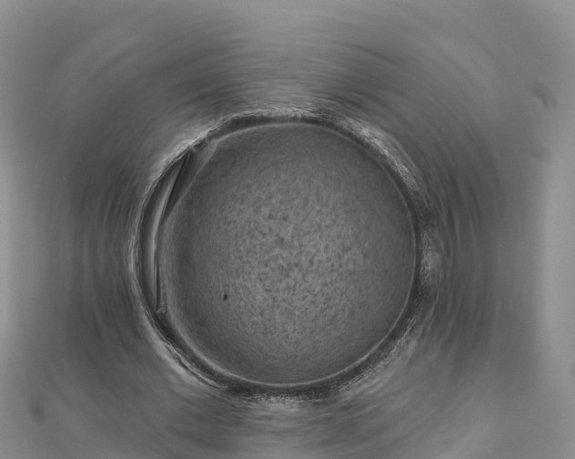 X0000112800677200908281529