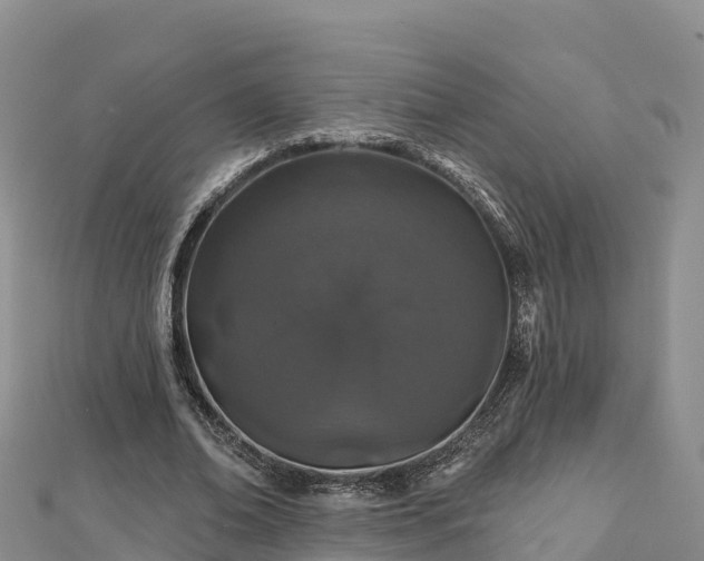X0000112800678200908281529