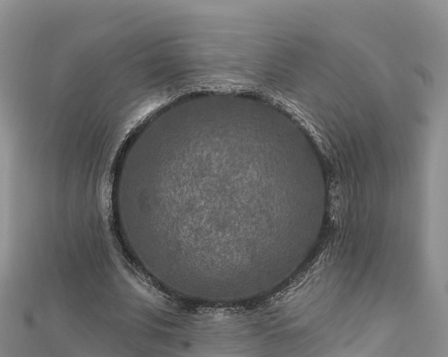 X0000112800679200908281529