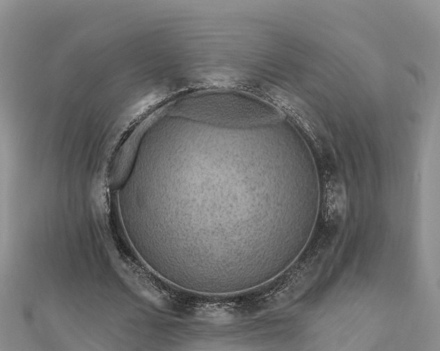 X0000112800680200908281529