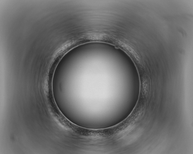 X0000112800682200908281529